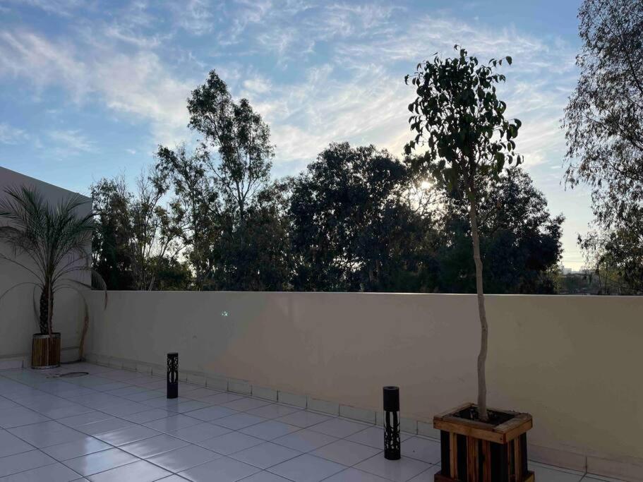 Otay Studio Great Patio Near Otay Crossing & Airport Тихуана Экстерьер фото